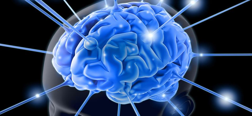 Optimal Brain Wellness